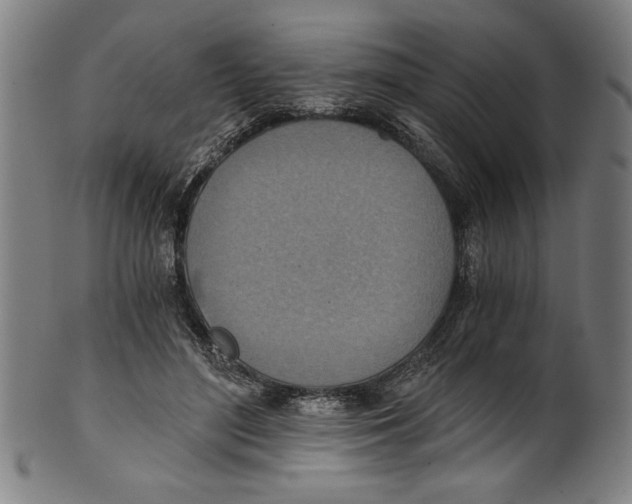 X0000100900500200807220955