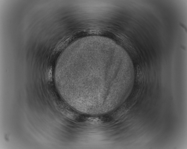 X0000100900502200807220955