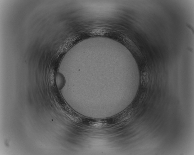 X0000100900504200807220955