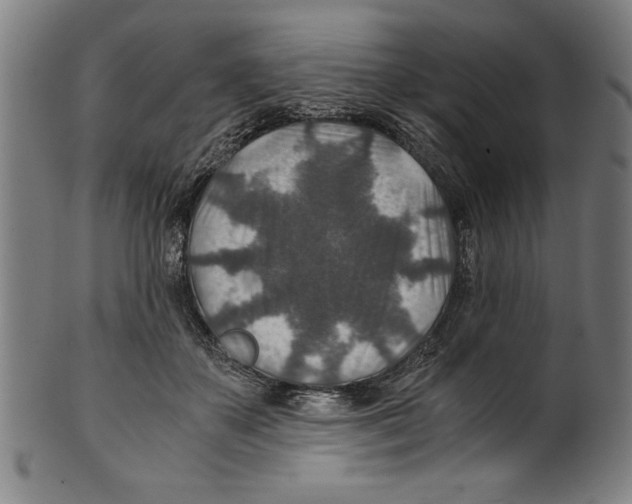 X0000100900507200807220955