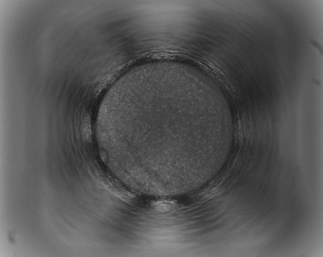 X0000100900508200807220955