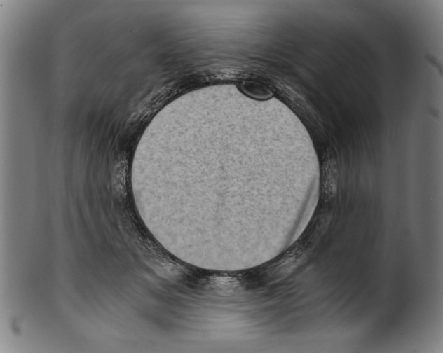 X0000100900509200807220955