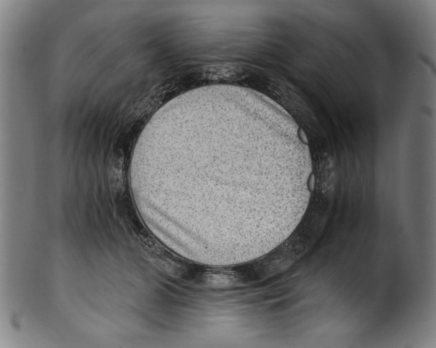 X0000100900510200807220955