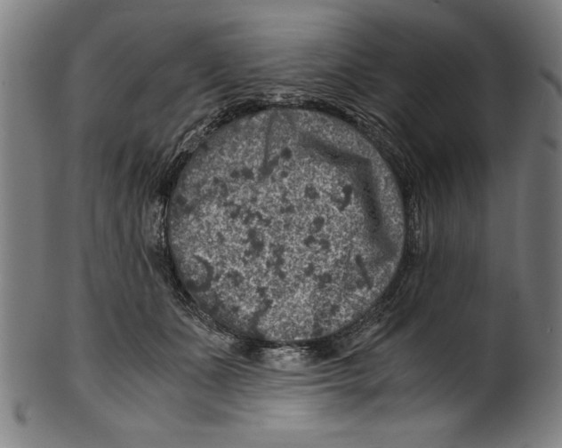 X0000100900511200807220955