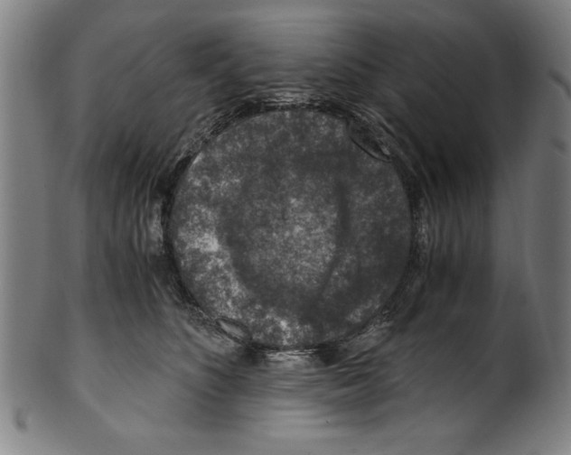 X0000100900516200807220955