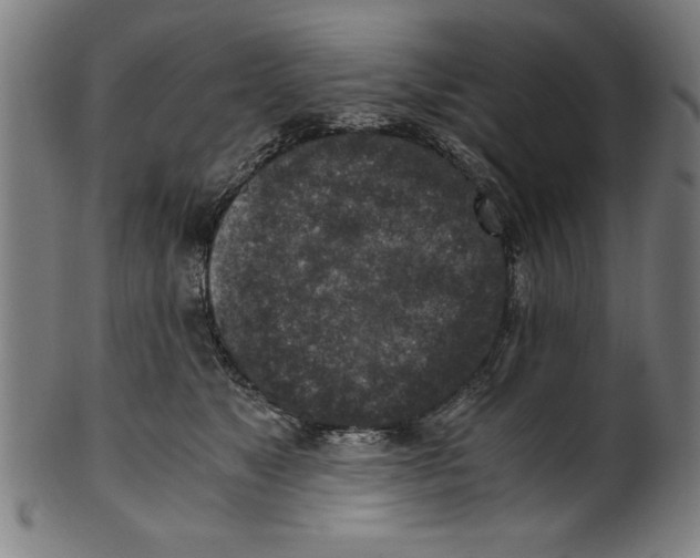 X0000100900517200807220955