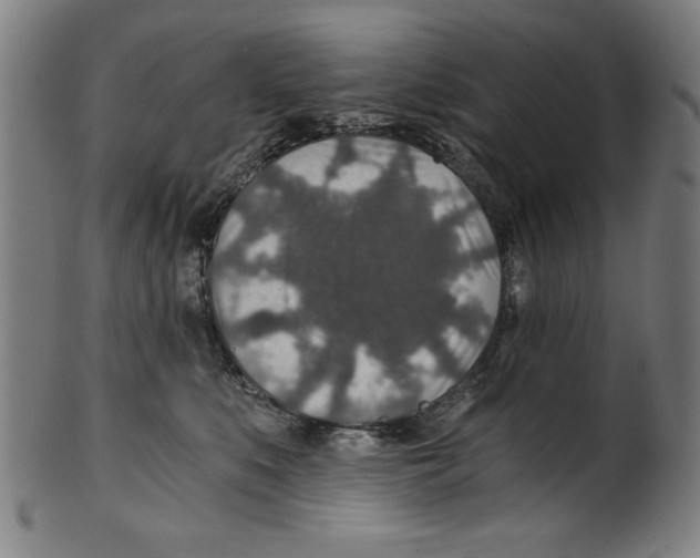 X0000100900519200807220955