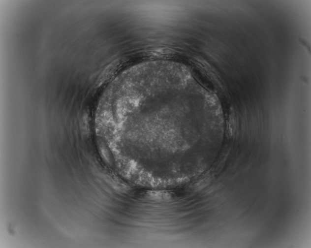 X0000100900520200807220955