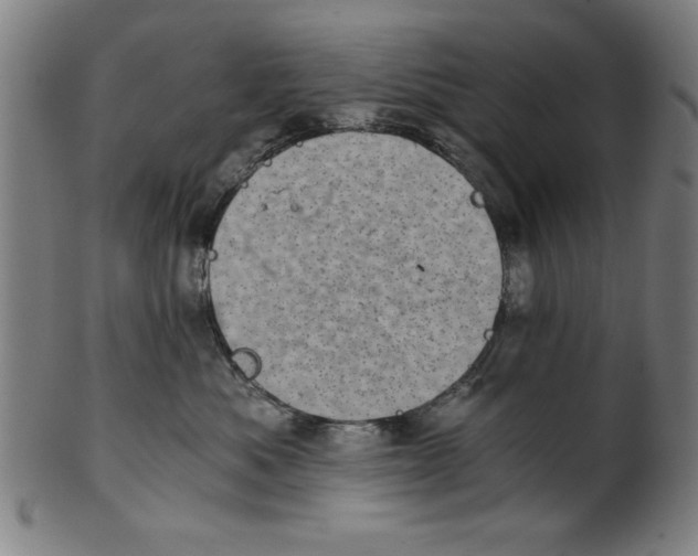 X0000100900525200807220954