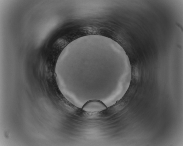 X0000100900526200807220954