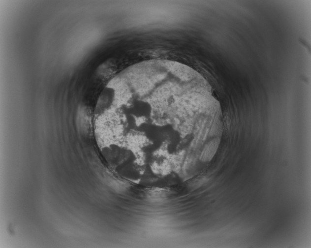 X0000100900527200807220954