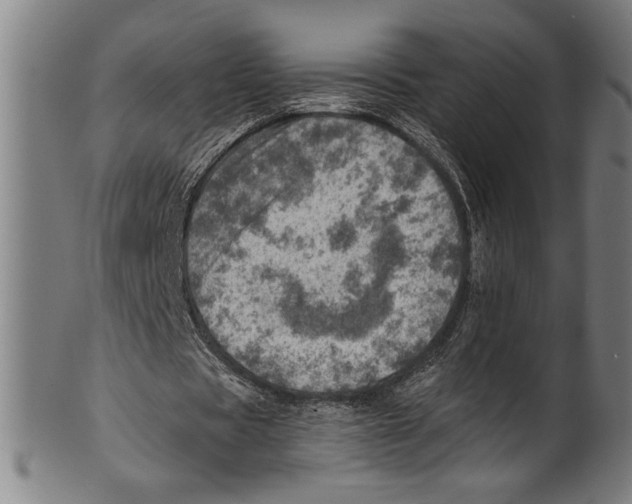 X0000100900529200807220954