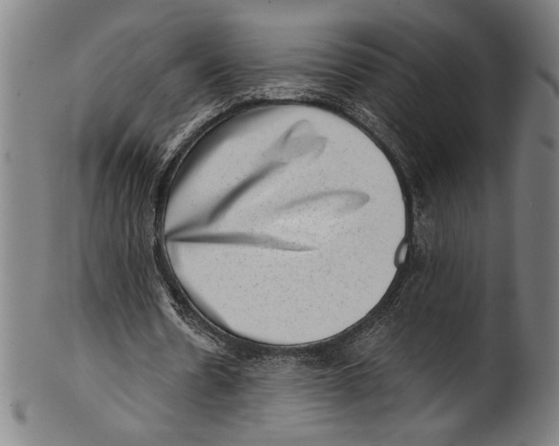 X0000100900530200807220954