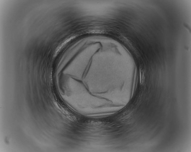 X0000100900531200807220954