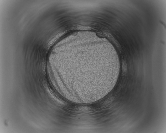 X0000100900533200807220954