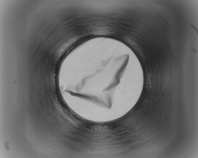 X0000100900535200807220954