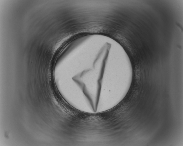 X0000100900536200807220954