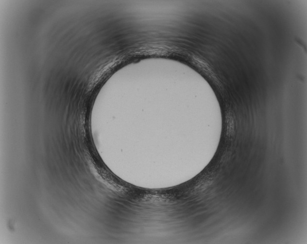 X0000100900538200807220954