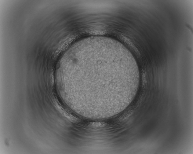 X0000100900541200807220954