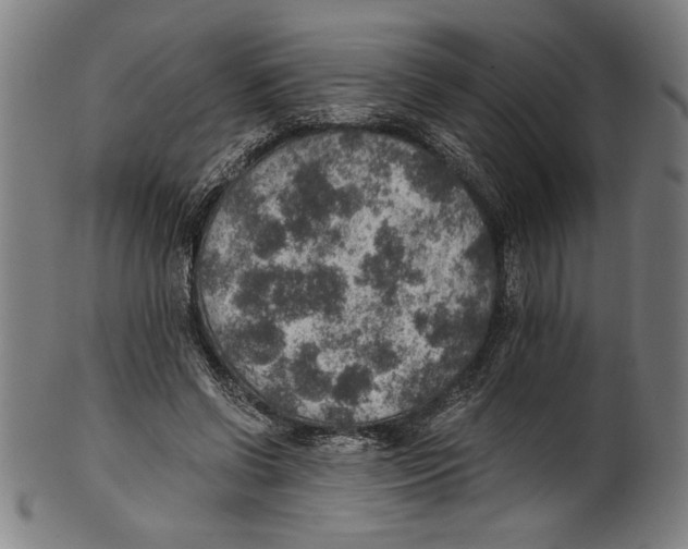 X0000100900542200807220954