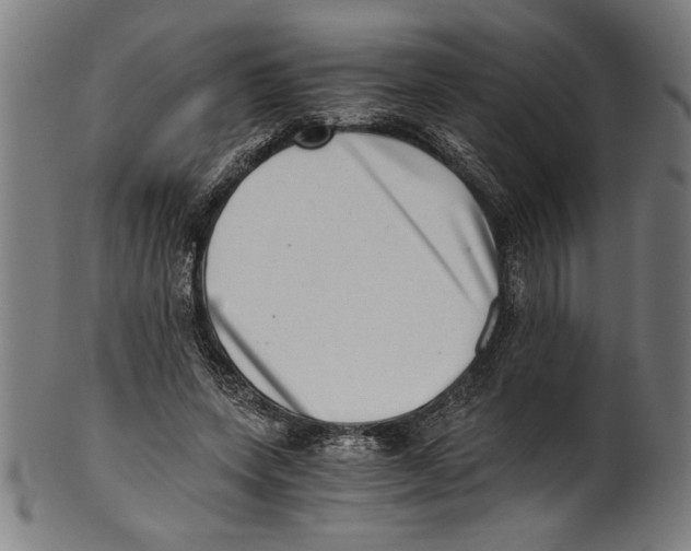 X0000100900543200807220954