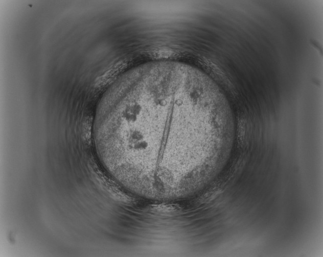 X0000100900545200807220954