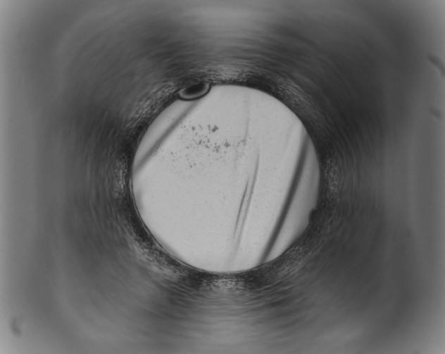 X0000100900546200807220954