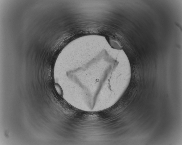 X0000100900548200807220954