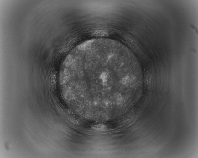 X0000100900551200807220954