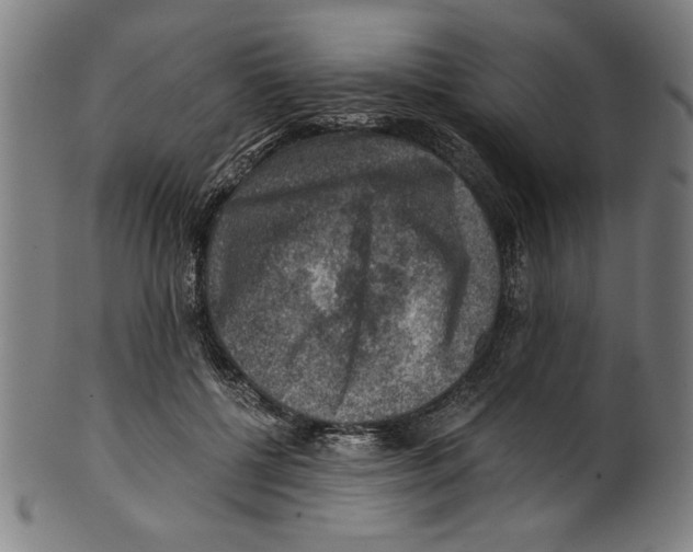 X0000100900552200807220954