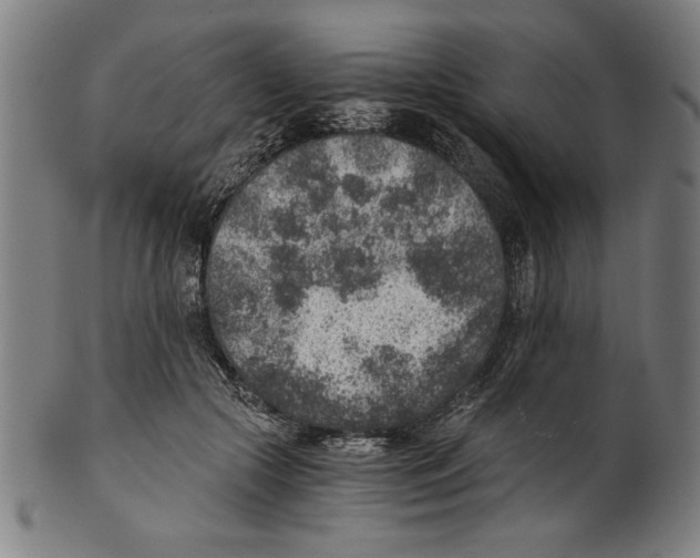 X0000100900553200807220954