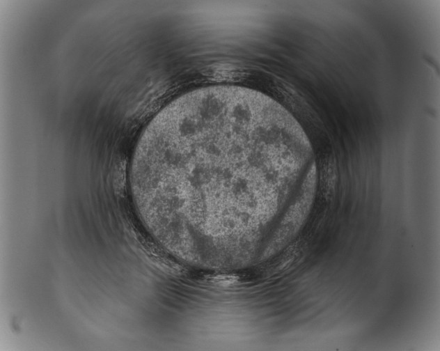 X0000100900554200807220954