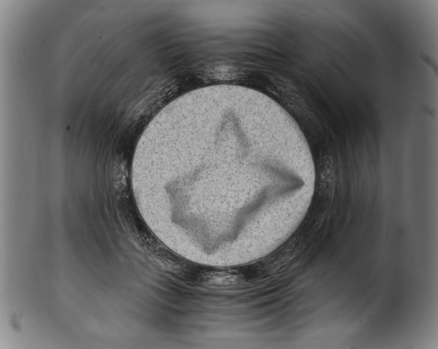 X0000100900555200807220954