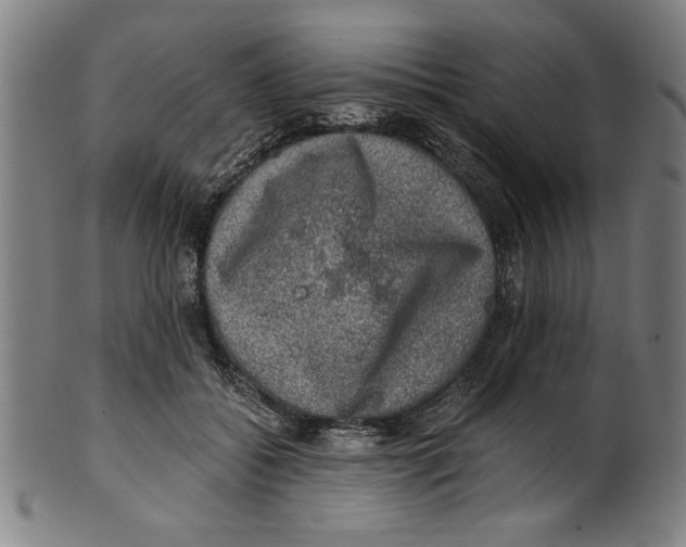 X0000100900556200807220954