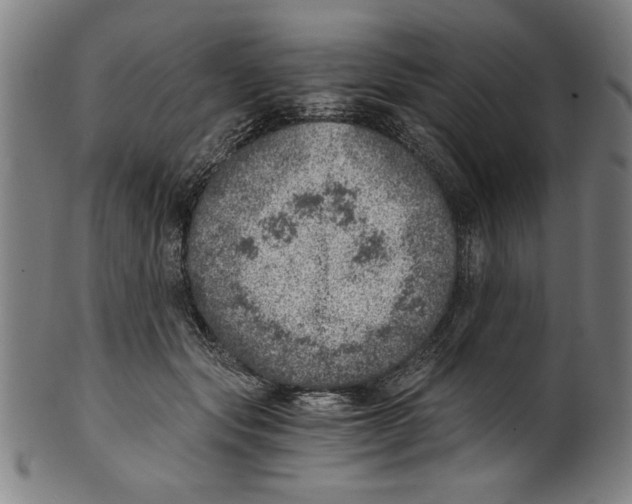 X0000100900557200807220954