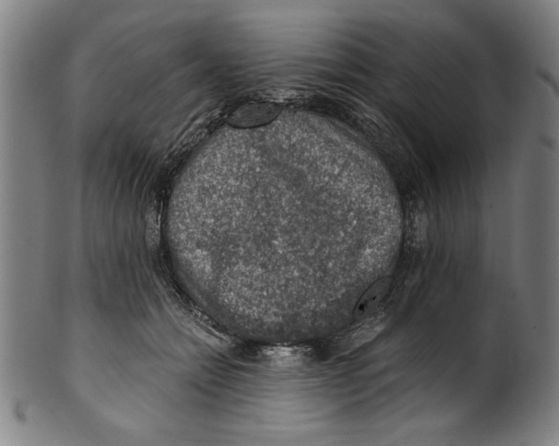 X0000100900558200807220954