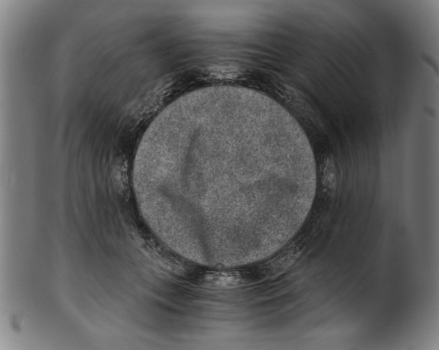 X0000100900559200807220954