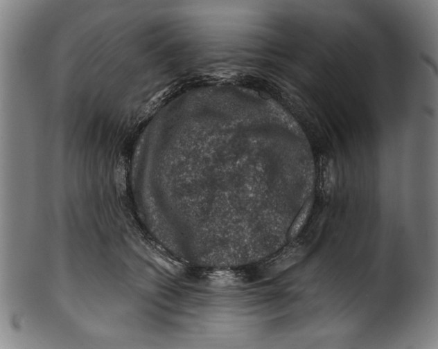 X0000100900562200807220954