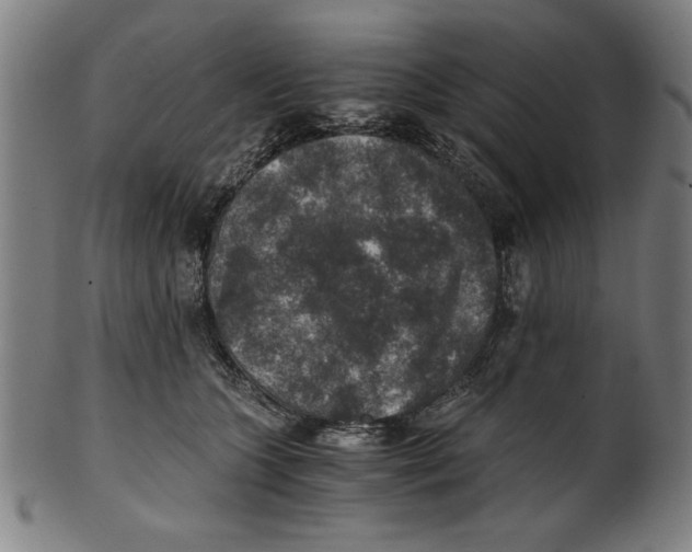 X0000100900563200807220954