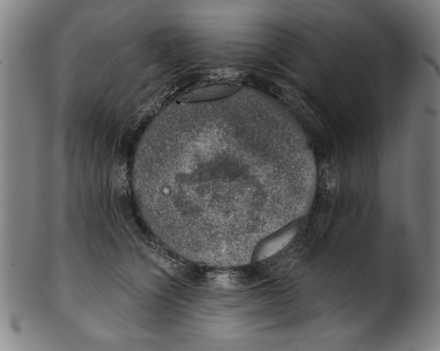 X0000100900564200807220954