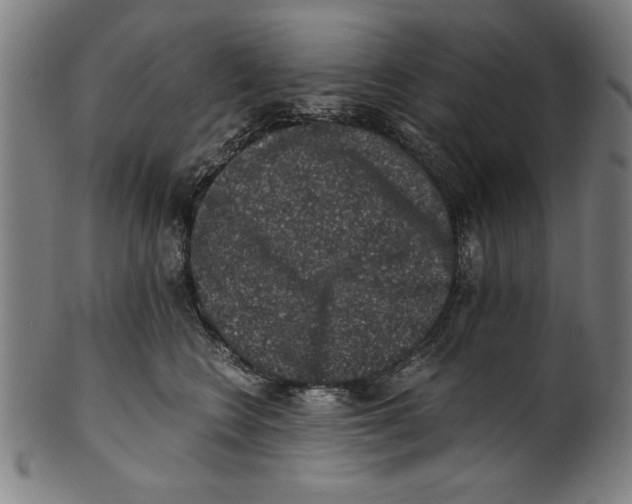 X0000100900566200807220954