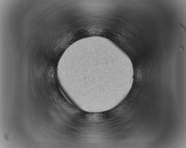 X0000100900567200807220954