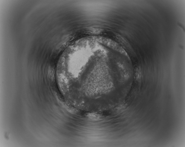 X0000100900568200807220954