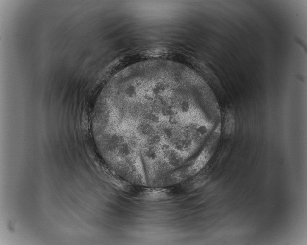 X0000100900569200807220954