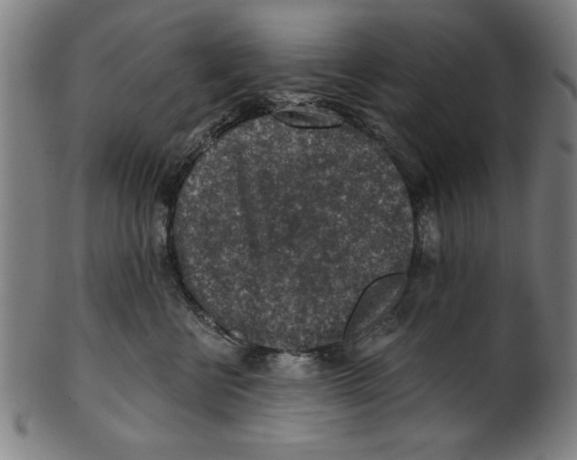 X0000100900570200807220954