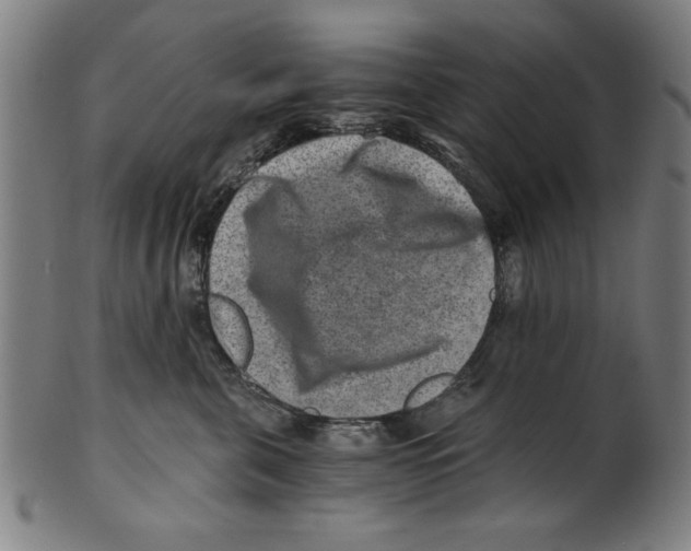 X0000100900571200807220954