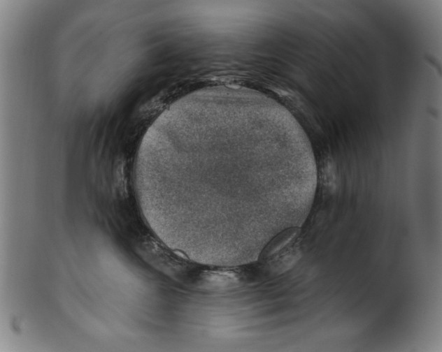 X0000100900572200807220954