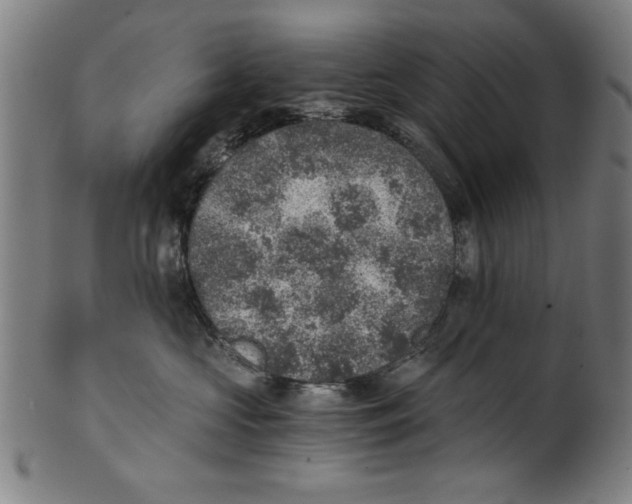 X0000100900573200807220954