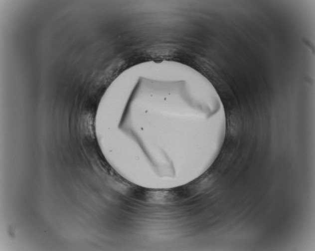 X0000100900575200807220954