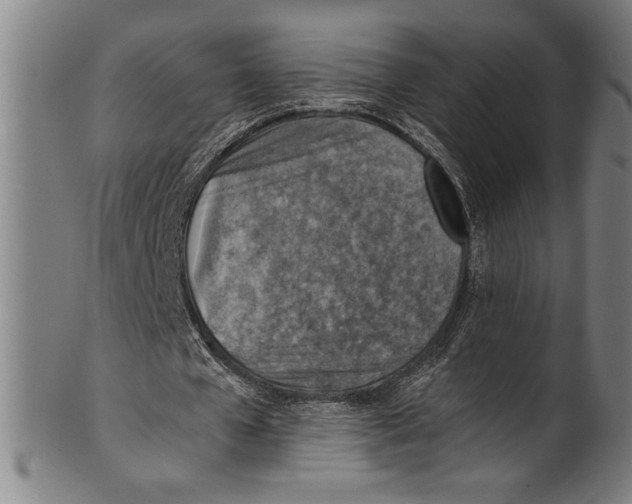 X0000100900577200807220954